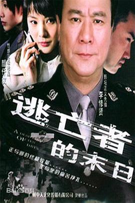 《肌肤之火焰1985》海报